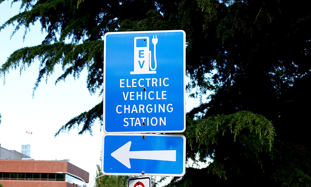 Government Stakeholder